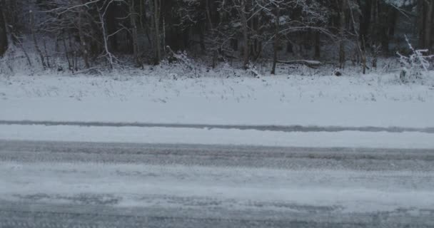 Landsväg i skogen vinter — Stockvideo