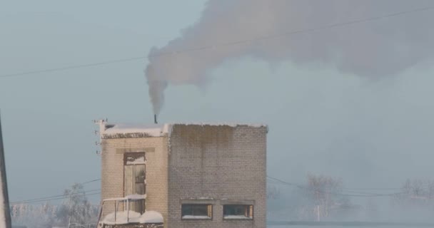 Fumée blanche épaisse d'une cheminée pendant le gel — Video