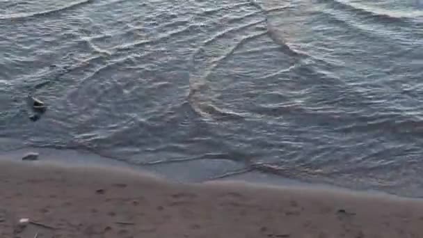 Baltische Zee strand op een zonnige zomerdag — Stockvideo