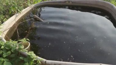 yaz günü eski büyük su havuzu