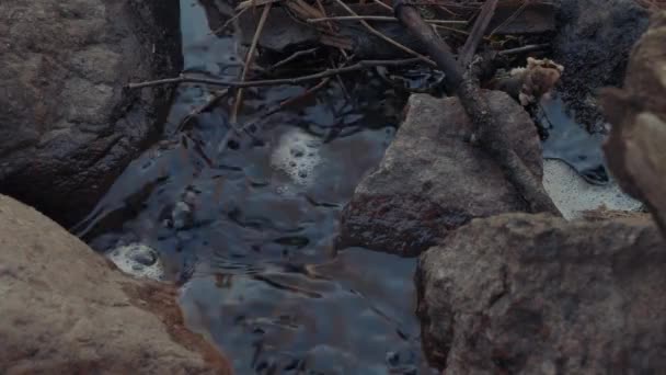 Bubble Foam cirkelen in de waterstroom van de rivier — Stockvideo