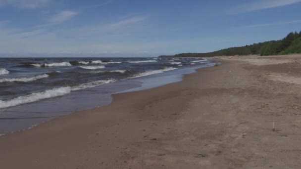 Plage de la mer Baltique par une journée d'été ensoleillée — Video