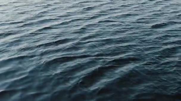 Bevattna ytbehandlar av havet — Stockvideo