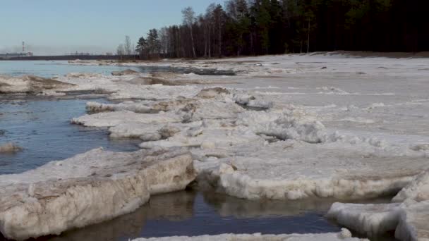 Ice with snow floats on the sea waves — стоковое видео