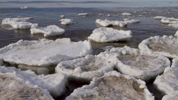 Ice with snow floats on the sea waves — Stock Video