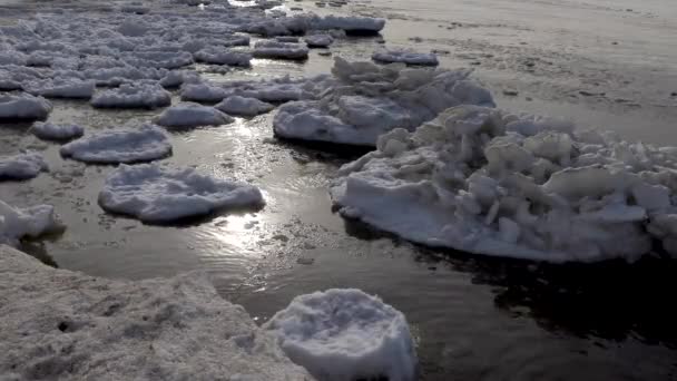 Ice with snow floats on the sea waves — Stock Video