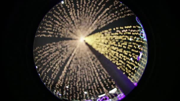 Festive Christmas illuminations at night in the park. optical effect Circular fisheye — Stock Video