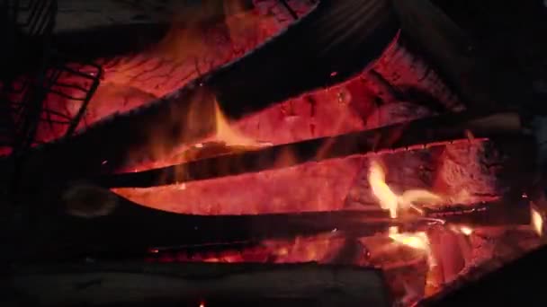 Brennholz brennt aus nächster Nähe — Stockvideo