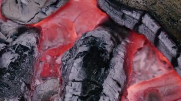 Wood firewood burns close up — Stock Video