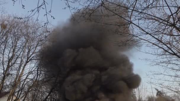 Schwarzer dicker Rauch auf einem Hintergrund von Bäumen — Stockvideo