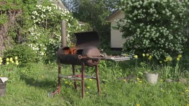 Churrasqueira caseira para fritar kebabs — Vídeo de Stock