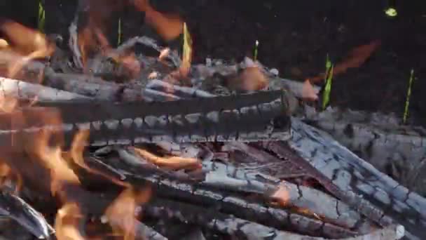 bois de chauffage brûle dans le gril gros plan 