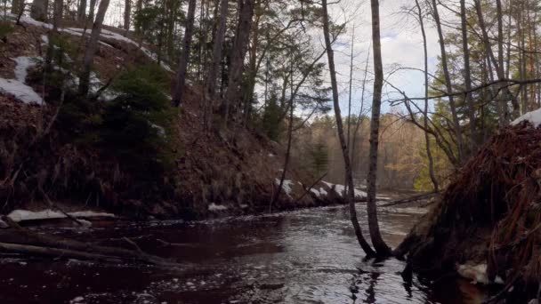 Bahar sel sırasında nehir — Stok video