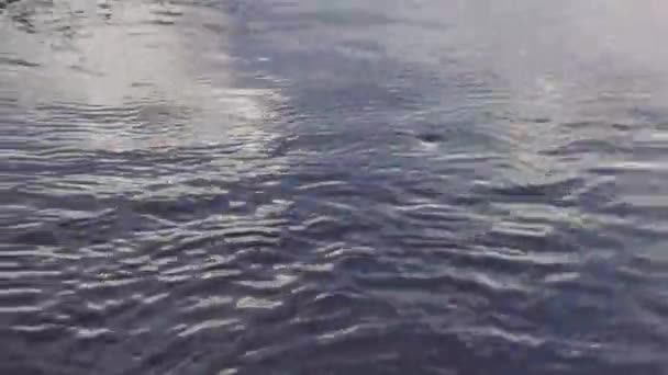강 클로즈업에서 물의 흐름 — 비디오