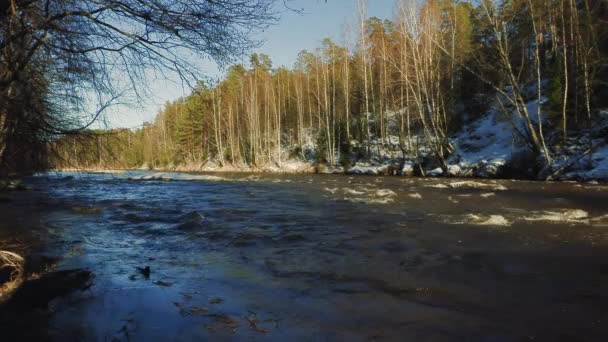 川のクローズアップの水の流れ — ストック動画