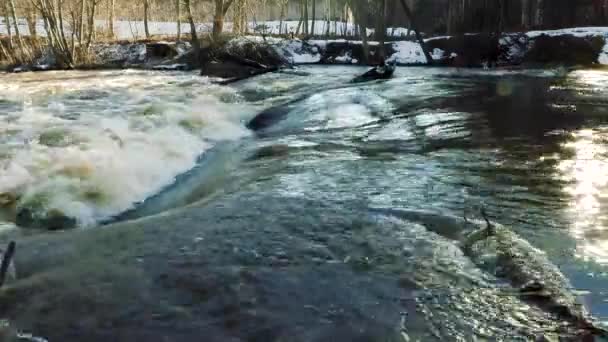 Річка під час весняної повені — стокове відео