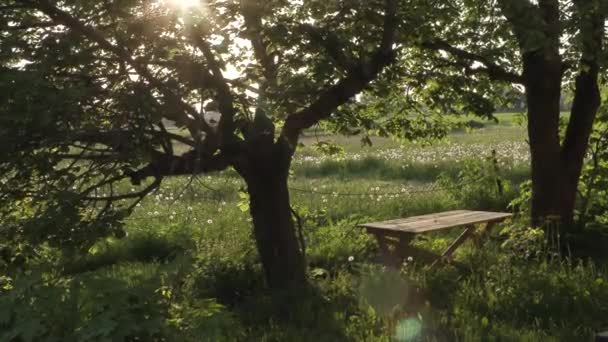 Mesa de madera en el jardín durante el día de verano — Vídeo de stock