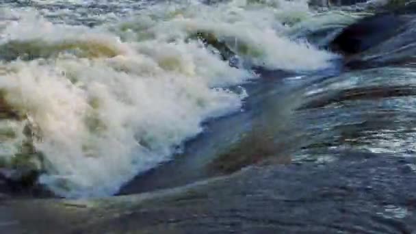 Rio durante a inundação primavera — Vídeo de Stock