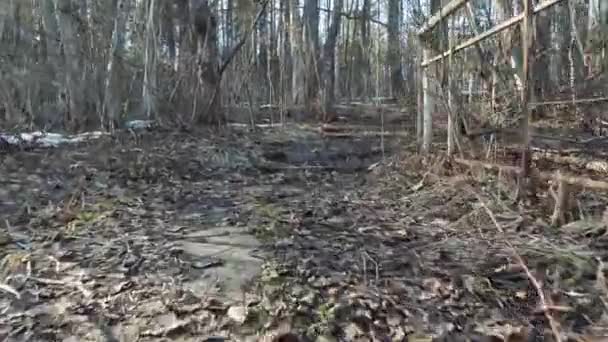 Subindo as escadas antigas em um assustador parque de outono — Vídeo de Stock