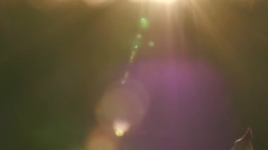 bulanık bir arka planda yaz günbatımı güneş ışığı