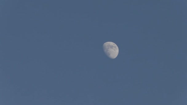 Luna en el cielo azul por la tarde — Vídeos de Stock