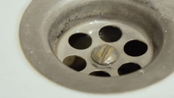 Old dirty drain in the kitchen sink close-up — Stock Video