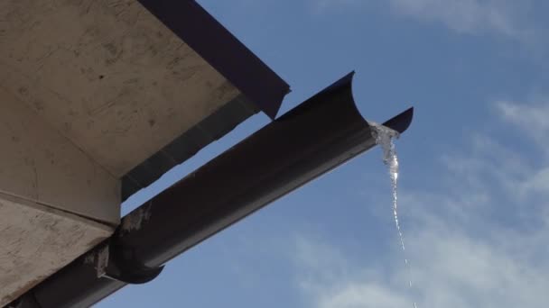 Eiszapfen schmilzt am Abfluss — Stockvideo