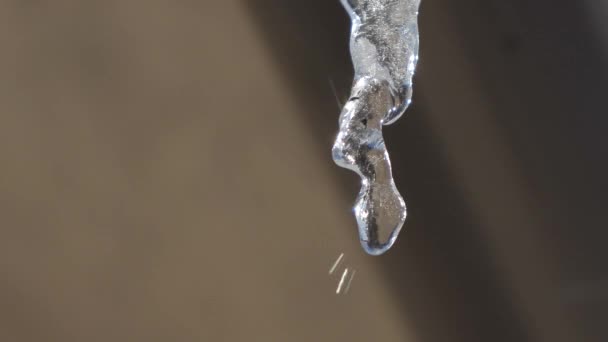 Icicle smelt in close-up — Stockvideo