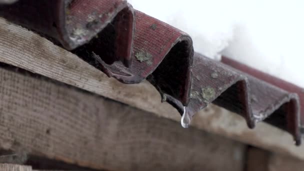 Snö smälter och vattendroppar DROPP från det gamla taket av huset — Stockvideo