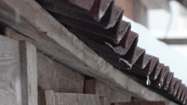 Neve derrete e gotas de água gotejamento do telhado velho da casa — Vídeo de Stock