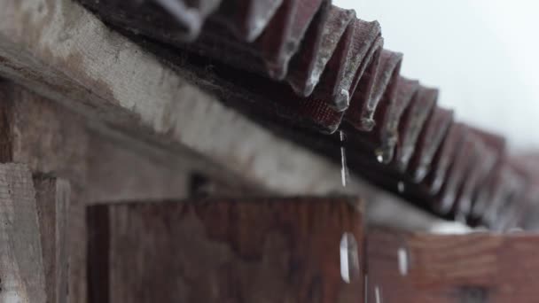 Sneeuw smelt en water druppels druppelen van het oude dak van het huis — Stockvideo