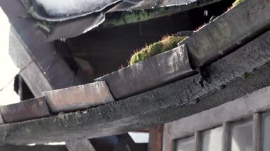 kar erir ve su damlaları evin eski çatıdan damla