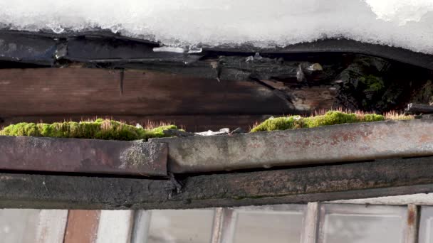 Sneeuw smelt en water druppels druppelen van het oude dak van het huis — Stockvideo