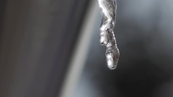 Icicle smelt in close-up — Stockvideo