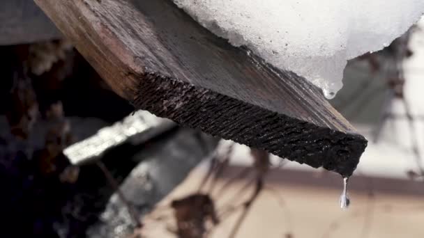 Sneeuw smelt en water druppels druppelen van het oude dak van het huis — Stockvideo