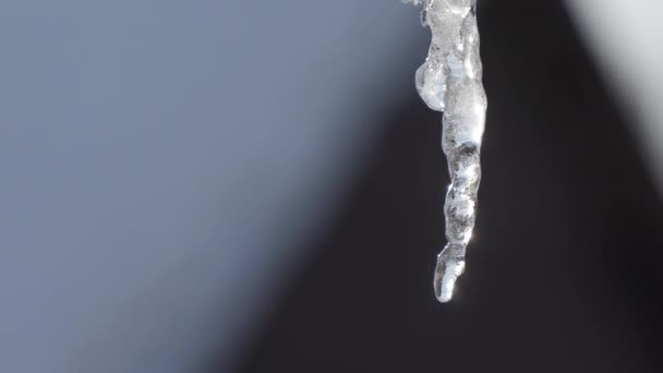 Icicle smelt in close-up — Stockvideo