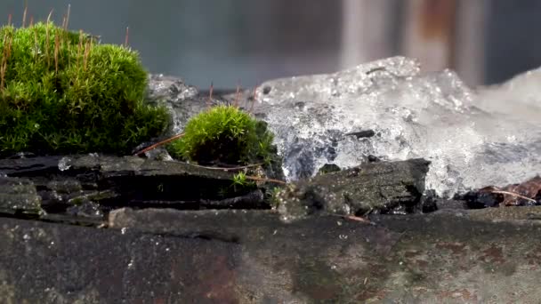 Snö smälter och vattendroppar DROPP från det gamla taket av huset — Stockvideo