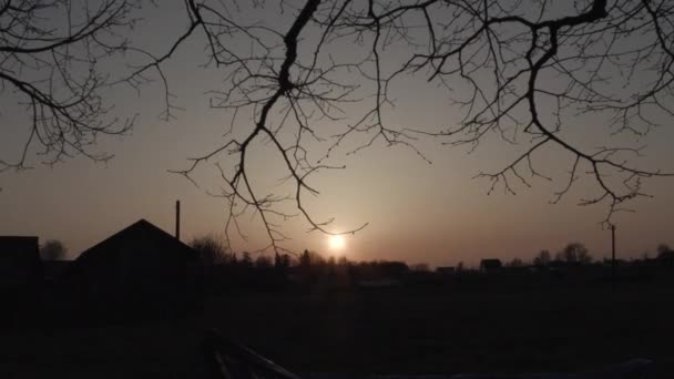 Tramonto su rami d'albero timelapse video — Video Stock