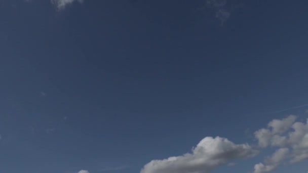 Nuvens brancas no céu azul timelapse vídeo — Vídeo de Stock