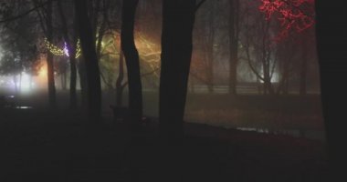 gece sonbahar parkında ışıklı dekorasyon