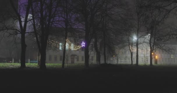 Beleuchtete Dekoration im herbstlichen Park bei Nacht — Stockvideo