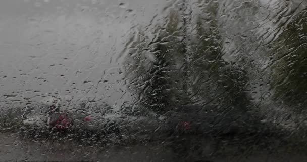 Raindrops on the windshield of the car drain daytime inside view — Stock Video