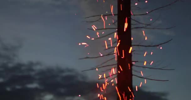 Искры от огня на фоне сухой древесины в вечернее время — стоковое видео
