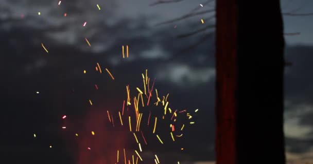 Funken aus dem Feuer auf dem Hintergrund von trockenem Holz am Abend — Stockvideo