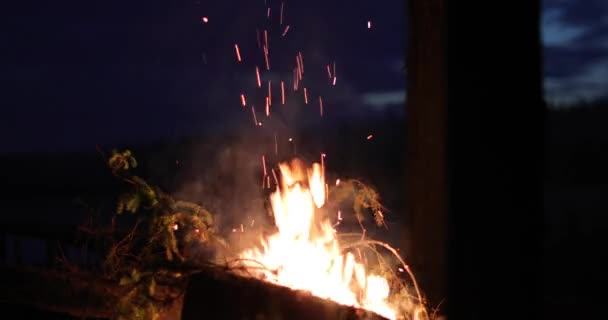 Brillante llama de fuego y madera caliente por la noche — Vídeos de Stock