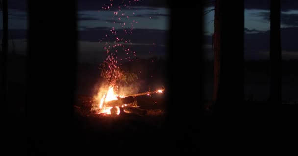 Gars vomit et améliore le feu qui brûle déjà avec une flamme vive la nuit — Video