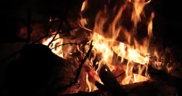 Brillante llama de fuego y madera caliente por la noche — Vídeos de Stock