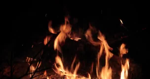 Bright flaming of fire and hot wood at night — Stock Video