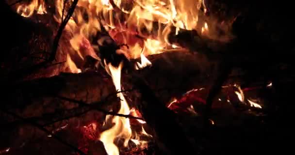 Hell loderndes Feuer und heißes Holz in der Nacht — Stockvideo