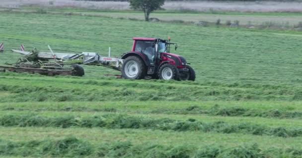 Boerderij vrachtwagen maaien gras op een weide in het herfst seizoen — Stockvideo